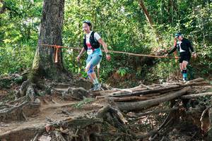 BIB: 
                            <button type="button" onclick="openModal(27558238)" class="btn btn-primary btn-sm float-right btn-popup" data-toggle="modal" data-target=".modal-high-quality">
                        <i class="fas fa-shopping-cart"></i> Add to Cart
                    </button>
                                            <button type="button" onclick="isThisMe(27558238, true)" class="btn btn-success btn-sm float-right btn-popup btn-isme hidden" data-toggle="tooltip" data-placement="bottom" title="นี่คือรูปของคุณใช่ไหม คลิกที่นี่เพื่อเอาเข้าอัลบั้ม">
                        <i class="fas fa-plus"></i> Add to album
                    </button>
                    <button type="button" onclick="isThisMe(27558238, false)" class="btn btn-warning btn-sm float-right btn-popup btn-isnotme hidden">
                        <i class="fas fa-ban"></i> Remove from album
                    </button>